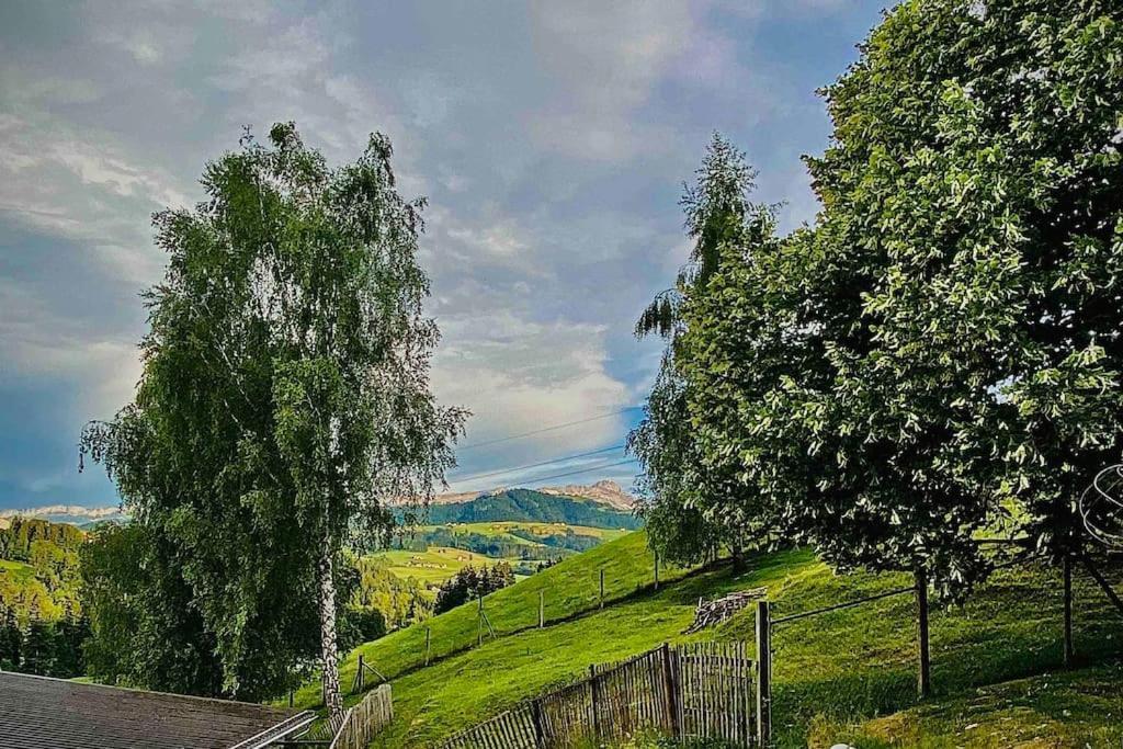 Birkenhof, Haus Schwaenli Villa Herisau Bagian luar foto