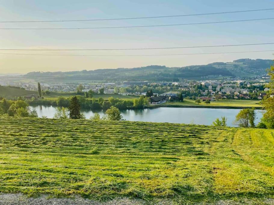 Birkenhof, Haus Schwaenli Villa Herisau Bagian luar foto