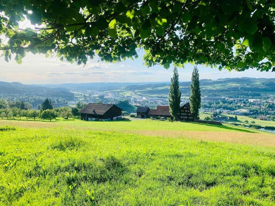 Birkenhof, Haus Schwaenli Villa Herisau Bagian luar foto